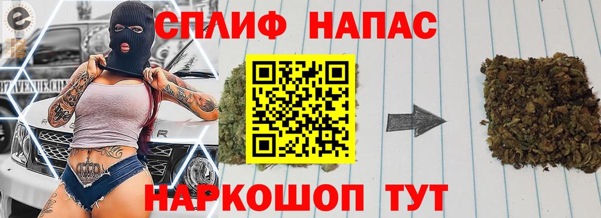 Бошки Шишки семена Канаш